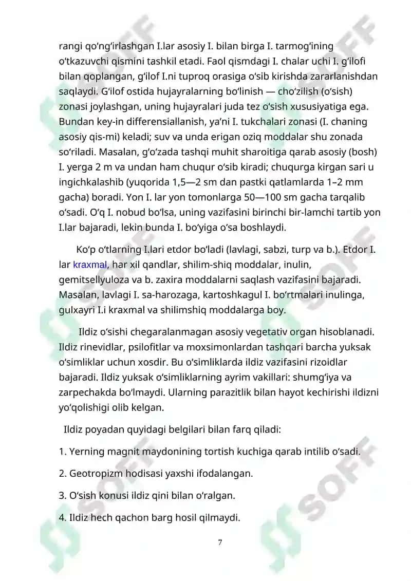 Yuksak o’simliklar ildizlarining ikkamchi anatomik tuzilishi 7