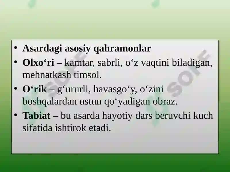 Olxo‘ri va o‘rik 7