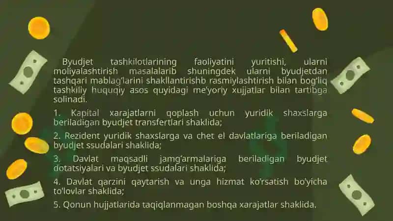 Davlat budjeti va davlat maqsadli jamg'armalari budjeti ijrosi bo'yicha budjet hisobini tashkil etish 7