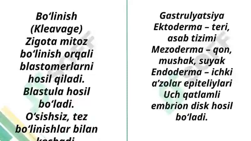 Proembrional va embrional rivojlanishning umumiy qonuniyatlari(Progenez) 7