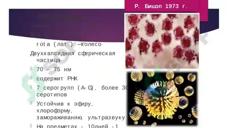 Вирусные диареи 7