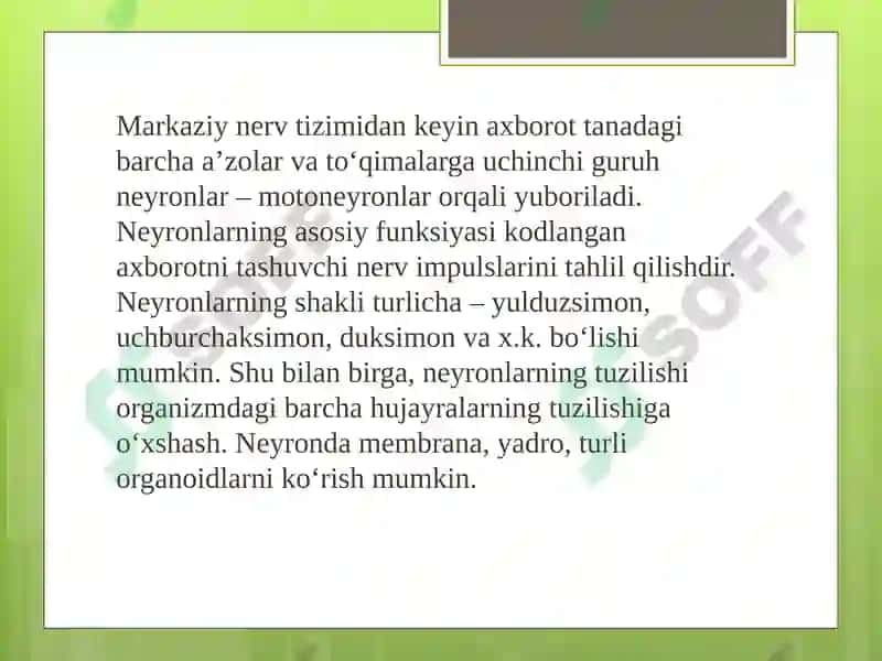 Neyron 7