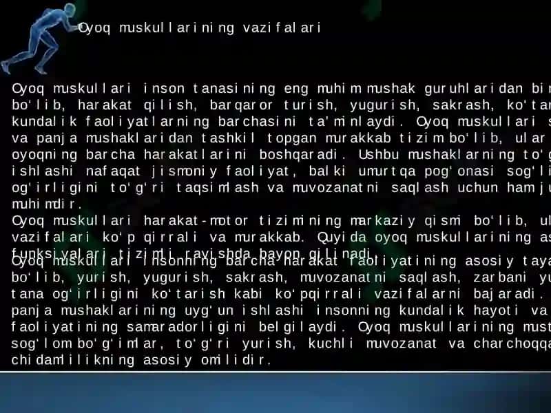 oyoq muskullari 7