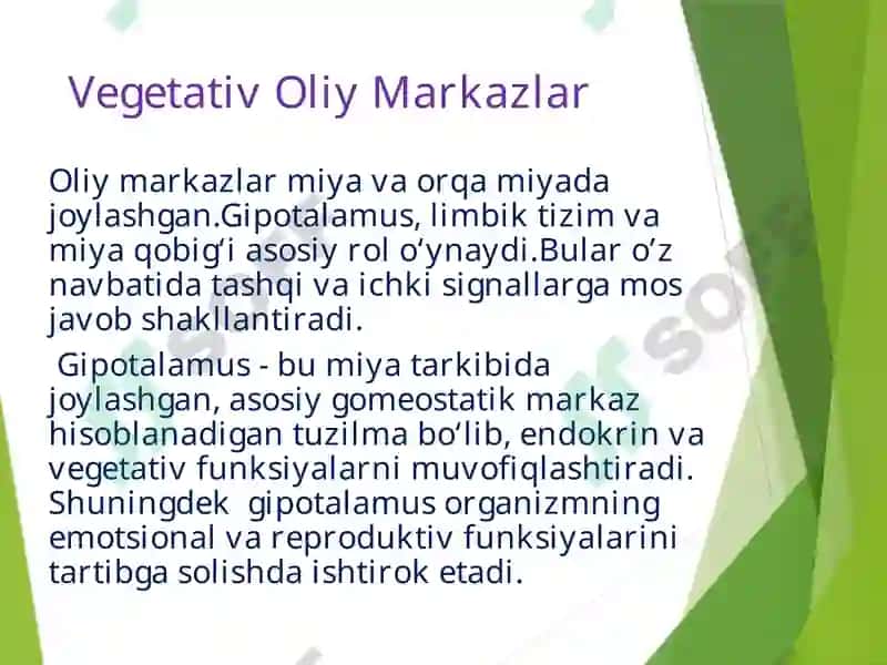 Vegetativ Nerv Tizimi (VNT) 7