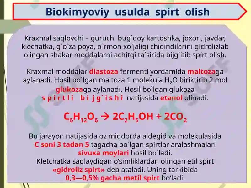 SPIRTLAR 7
