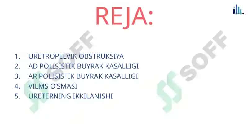 Renal Panalogiya 7