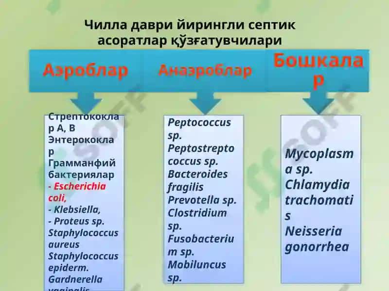 Чилладаврисептикасоратлари 7