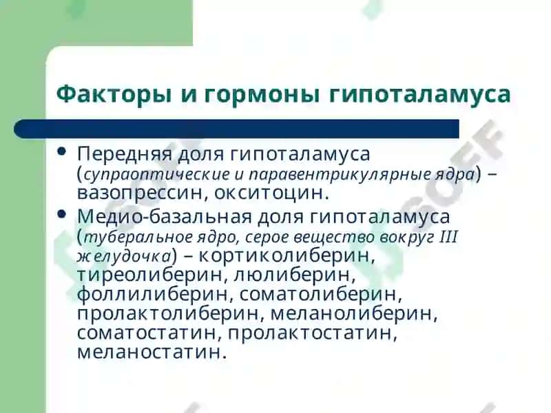 Патофизиология эндокринной системы 7