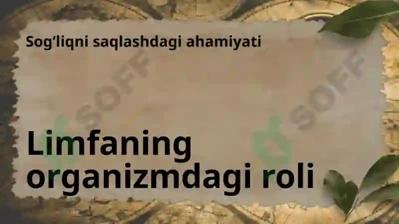 Limfa va uning harakati 7