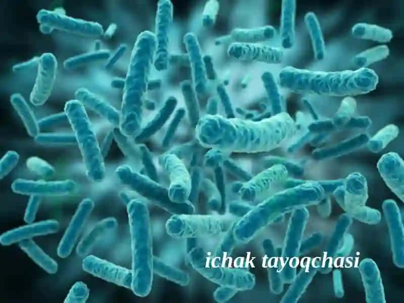 13-MA’RUZA.DON VA DON MAHSULOTLARININGMIKROBIOLOGIYASI 7
