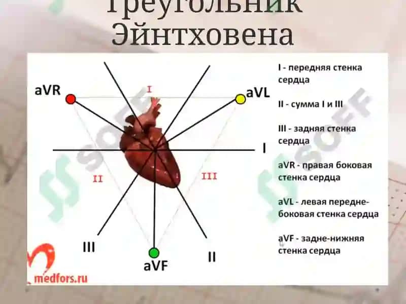 EKG ni yozib olish 7