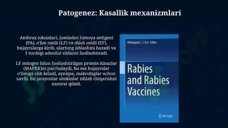 Anthrax - Bacillus anthracis 7