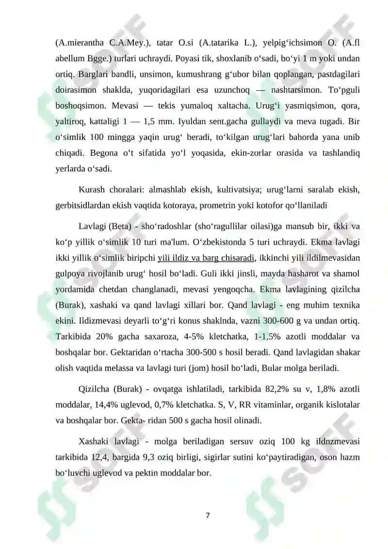SHO’RADOSHLAR OILASI HAQIDA UMUMIY MA’LUMOT VA JAG’-JAG’ O‘SIMLIGI 7