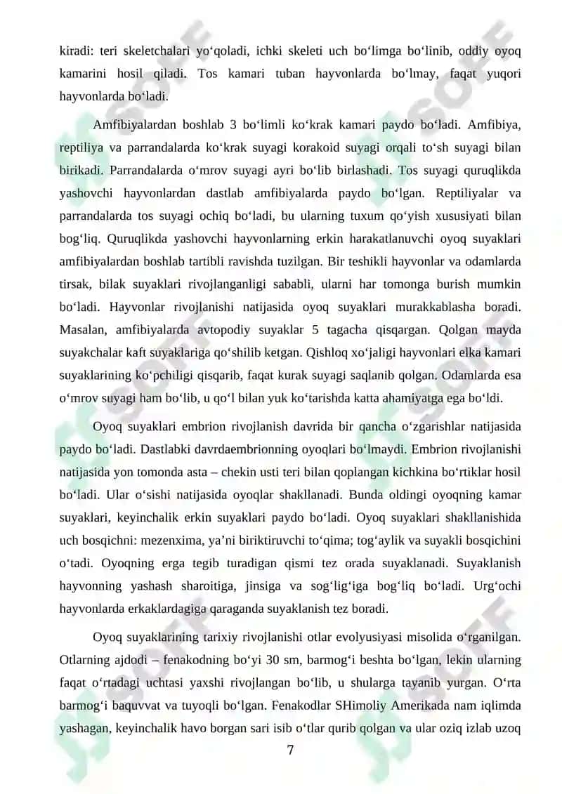 Turli yoshdagi qo‘ylar elka suyagining makro-mikroanatomik tuzilish BMI 7