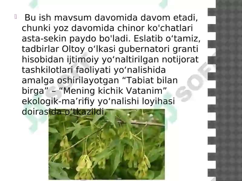 O’zbekistonning adventiv o’simliklari 7