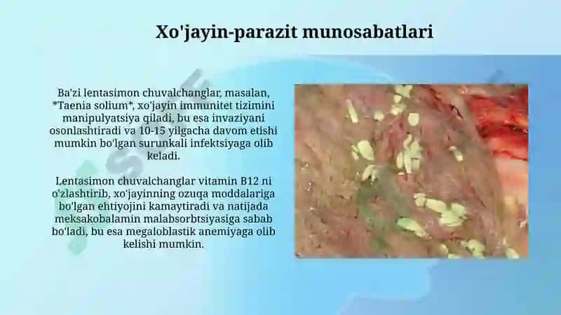 Tasmasimon chuvalchanglar dunyosi va ularning vakillari 7