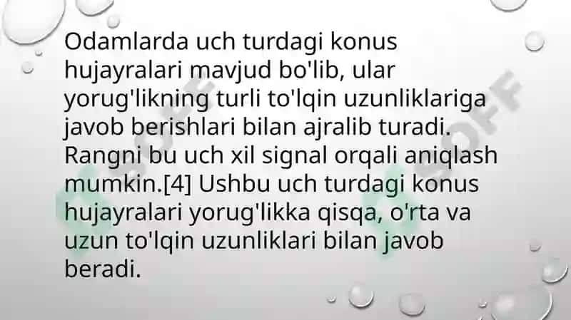 Fotoretseptsıya körısh hujayralarınıng tuzıshı 7