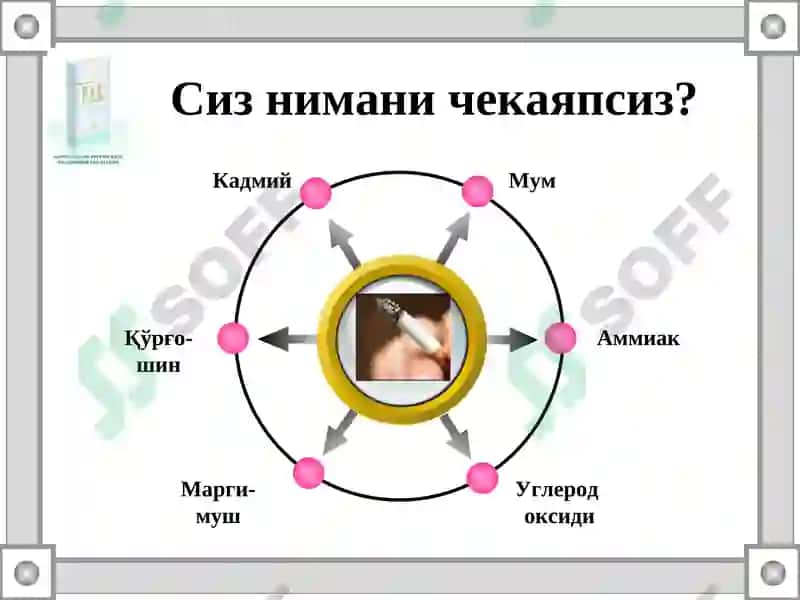 Кашандалик 7