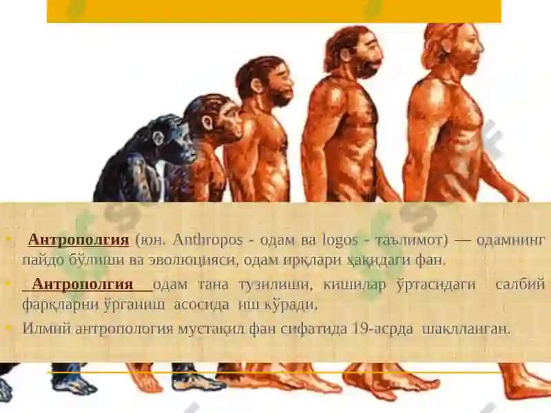Фалсафий антропология(Инсон фалсафаси) 7