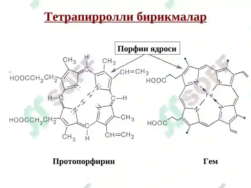 Гетероҳалқали бирикмалар метаболитлар ва доривор моддалар сифатида 7