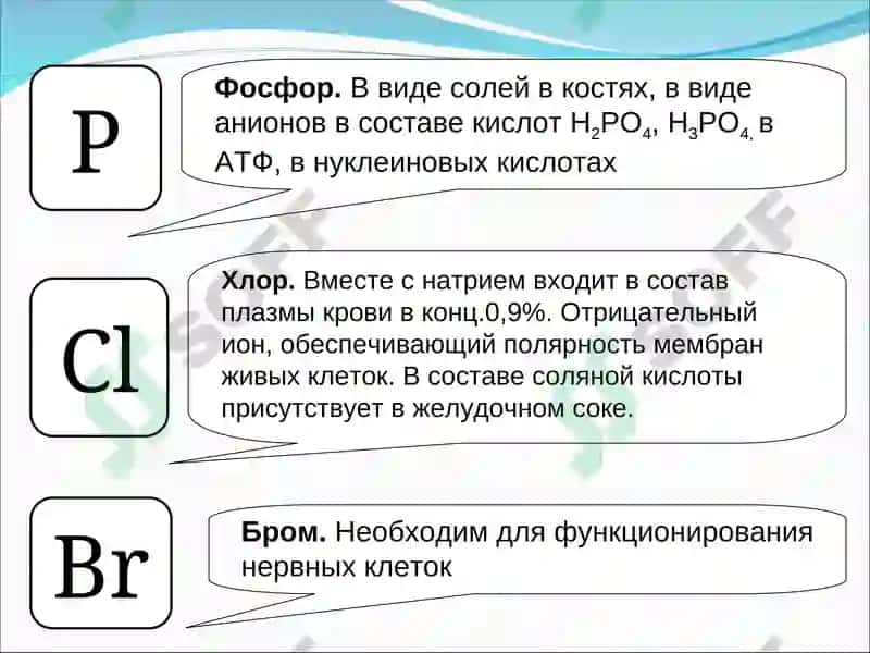 Химические элементы клетки 7