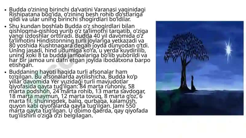 Buddaviylik Dini 7