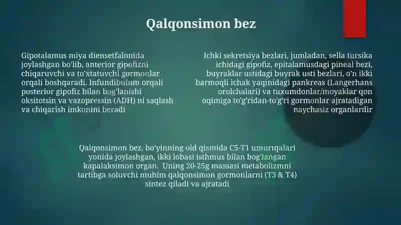 Endokrin bezlari 7