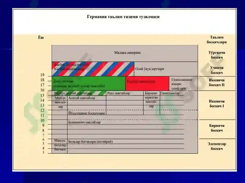 Таълим тўғрисида Қонун 7