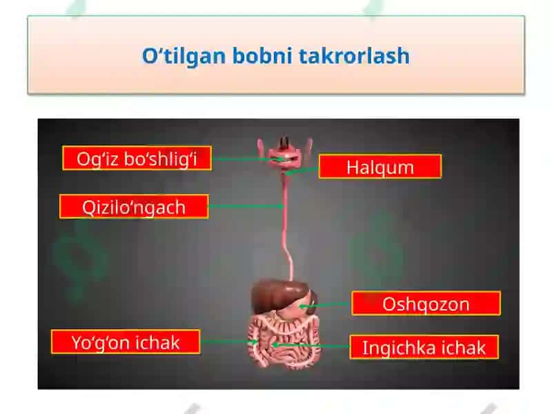 Iqlim 7
