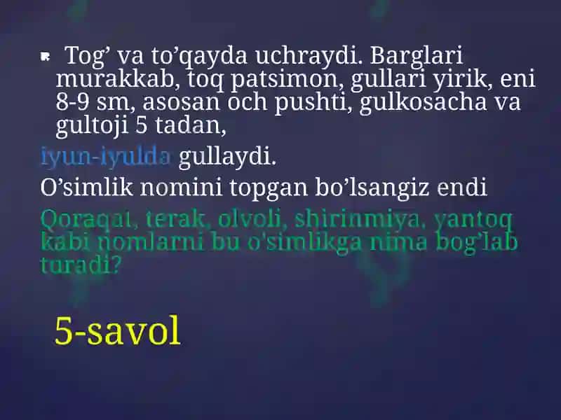 GAP NIMA HAQIDA KETYAPTI? 7