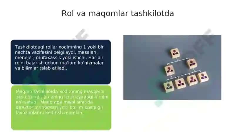 Tashkilot ijtimoiy tuzilma sifatida 7