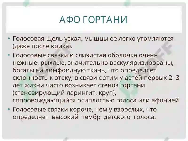 АНАТОМО-ФИЗИОЛОГИЧЕСКИЕ ОСОБЕННОСТИ ОРГАНОВ ДЫХАНИЯ У ДЕТЕЙ 7