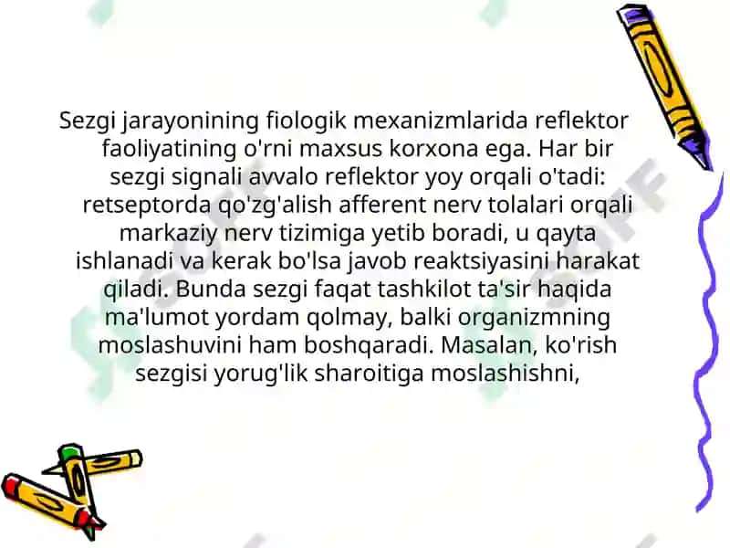 Sezgi 7