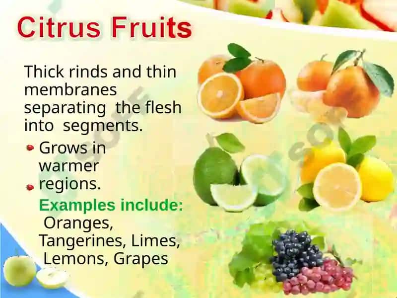 Fruits Classification 7