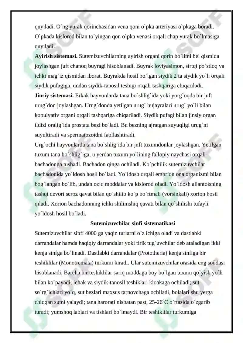 Sutemizuvchilar sinfi, ekologiyasi va evolyutsiyasi kurs ishi 7
