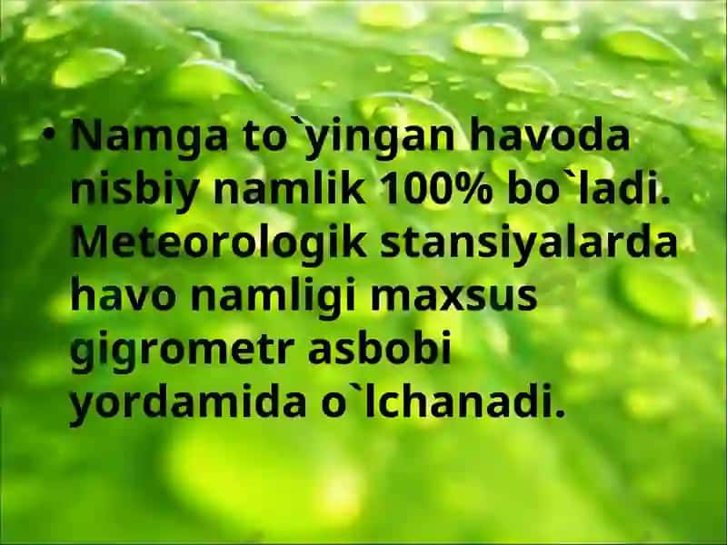 Havodagi suv bug`i 7