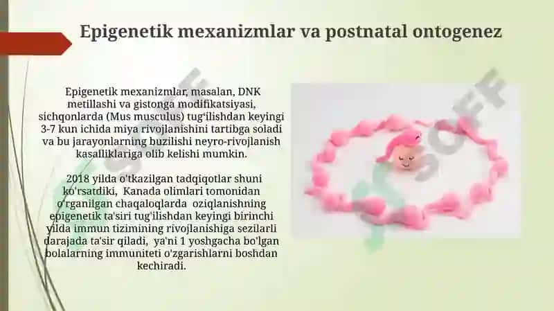 Ovqat hazm qilish sistemasi rivojlanishining regulyatsiyasi 7