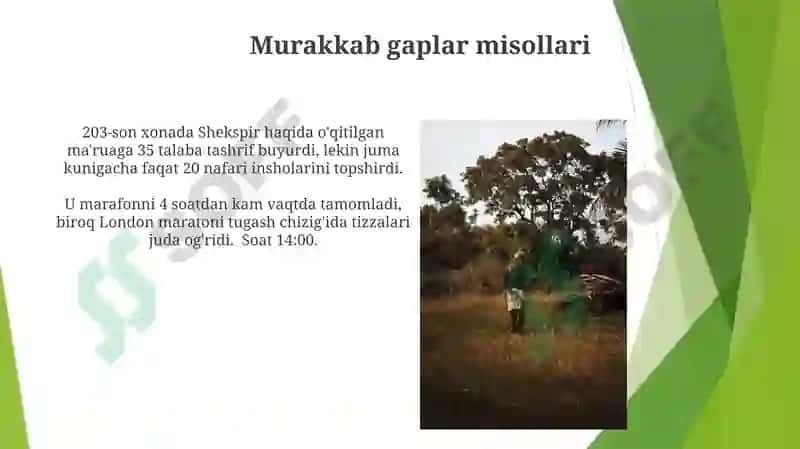 Murakkab gaplar 7