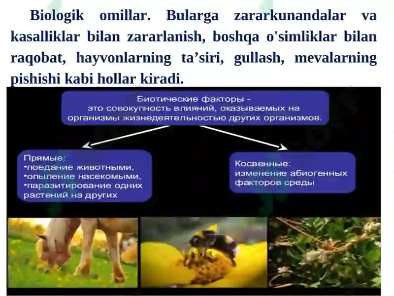O'simliklar chidamliligi va himoyalanish fiziologiyasi 7