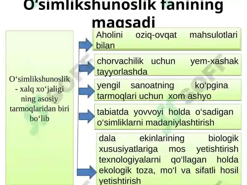 O‘simlikshunoslik 7