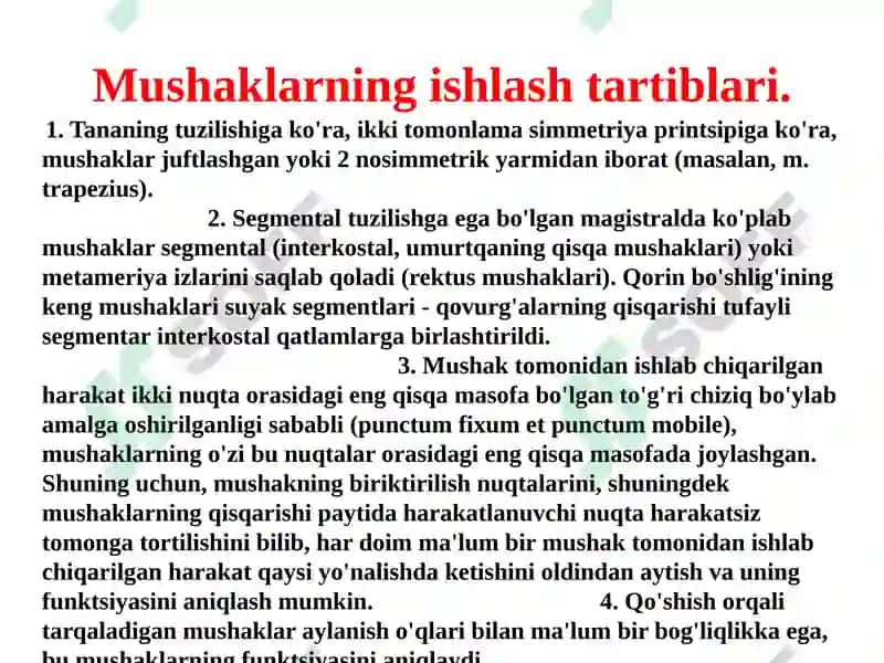 Gavda mukullari 8