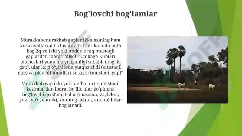 Murakkab gaplar 8