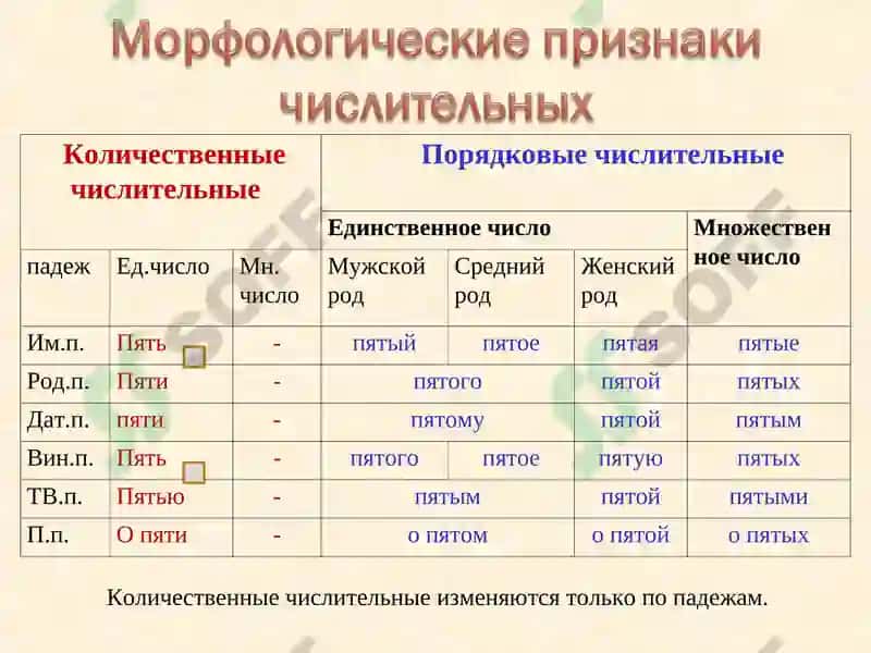 Числительные 8