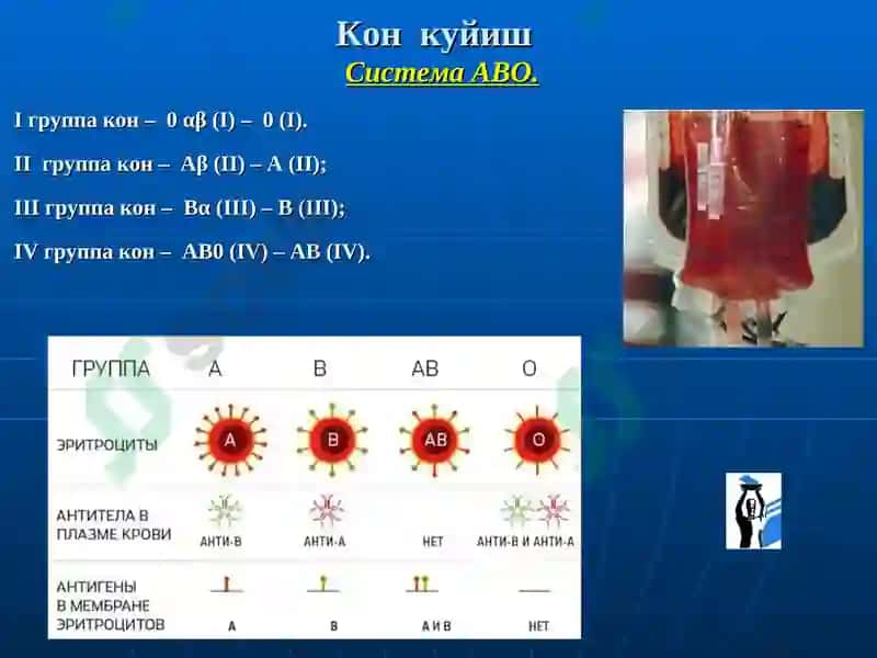"Қон ва қон ўрнини босувчи суюқликлар қуйиш. Донорлик" мавзуси бўйича МАЪРУЗА 8