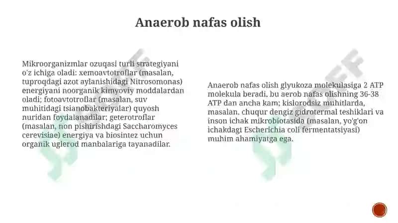 Mikroorganizlarning oziqlanishi va nafas olishi 8