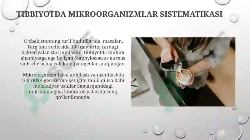 Mikroroorganizimlar va ularning sistimatikasi 8
