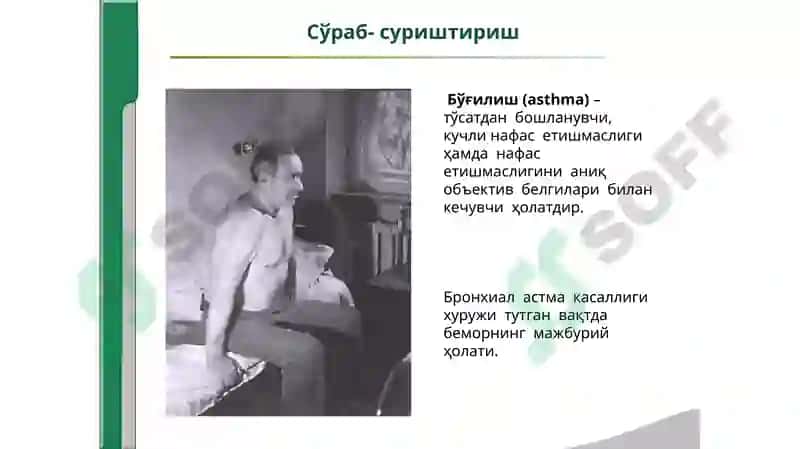 Хансираш 8