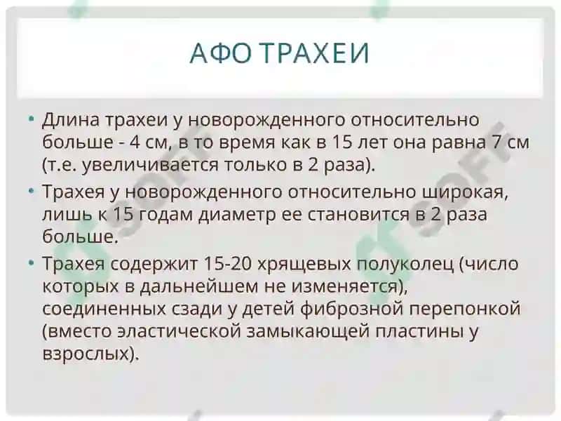 АНАТОМО-ФИЗИОЛОГИЧЕСКИЕ ОСОБЕННОСТИ ОРГАНОВ ДЫХАНИЯ У ДЕТЕЙ 8