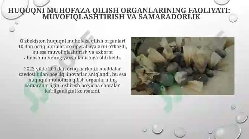Markaziy Osiyodagi terrorizm, giyohvandlik va savdo 8