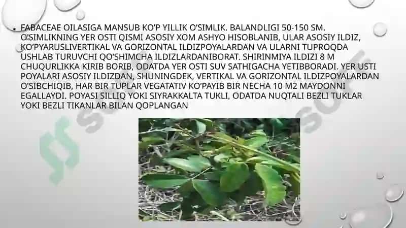 Burchoqdoshlar oilasi 8